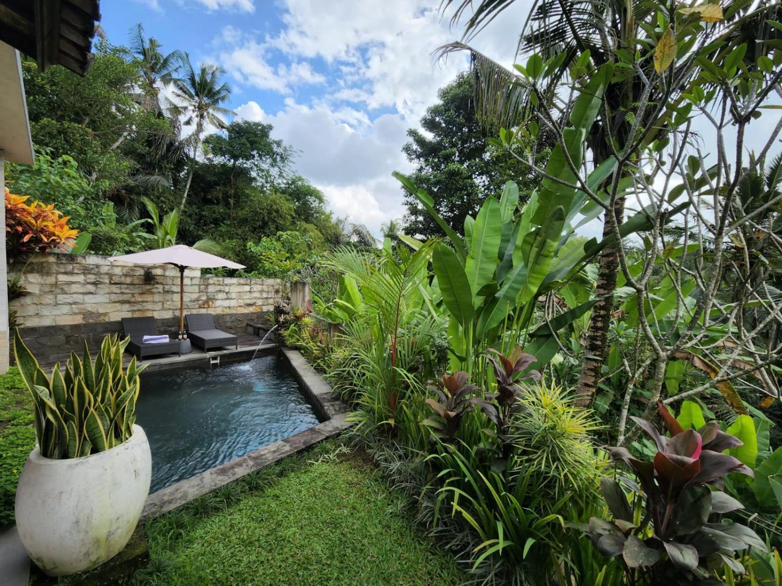 Taluh Bebek Ubud Private Villas Eksteriør bilde